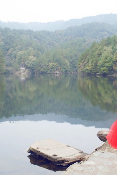 远志的功效与作用‘球王会体育’